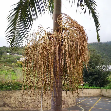Appartement La Casa Roja 2