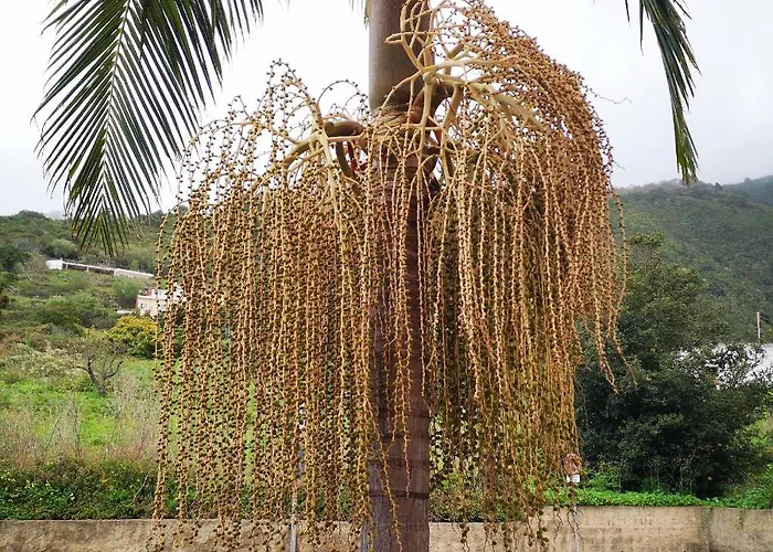 Apartamento La Casa Roja 2